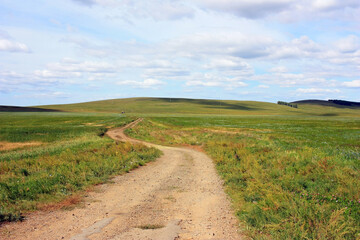 Country road in green field