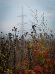 Multicolored field vegetation on a foggy morning against the background of a high-voltage transmission tower in late autumn