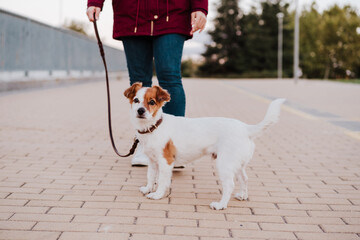 woman at the city walking with her adorable jack russell dog. Lifestyle outdoors