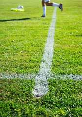 Soccer Field with green grass, sport theme