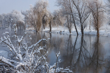 Tree covered with snow on winter river background