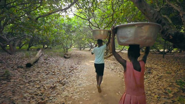 Group of local young African women and kids are carrying big heavy buckets of drinking water and bringing the water on their heads towards the village walking in line in bush forest jungle - Wide shot