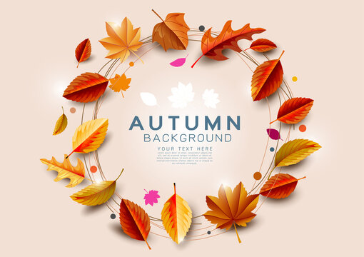 Autumn background with gold leaves circle decorate center space for shopping sale or promotion poster, leaflet, greeting card and festival invitation. Vector illustration.