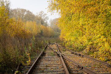 Railroad among yellowed trees on a sunny autumn day. The rails strewn with leaves go into the grass. The merger of two railway lines. There is fog in the distance.