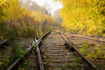 Old Railway among the yellowed trees on a sunny autumn day. A fork in the three railroad tracks....