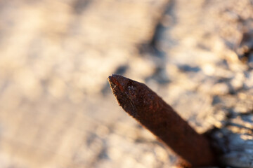 Sharp edge of rusty brown nail on yellow plank background