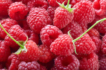 Red Ripe Delicious raspberries with green tail background. Raspberry texture. Healthy food organic concept.