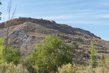 mountainous landscape with trees and bushes in the south of spain