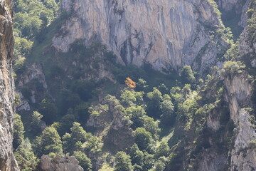 Castilla y León. León. Caín. El Cares. “Un río atraviesa la roca no por su poder sino por su persistencia”. Jim Watkins. 