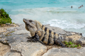 Tulum, Quintana Roo, Mexico