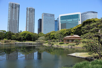 Fototapeta premium 浜離宮恩賜庭園