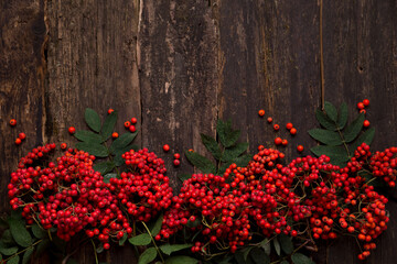 Rowan berries on a dark wooden board Rustic style. Layout top view. Copy space