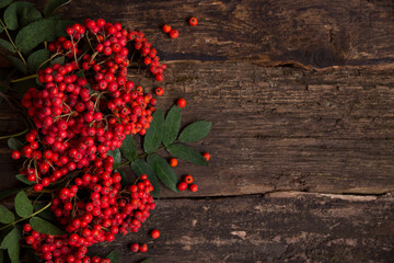 Rowan on a dark wooden table. Country style. Copy space