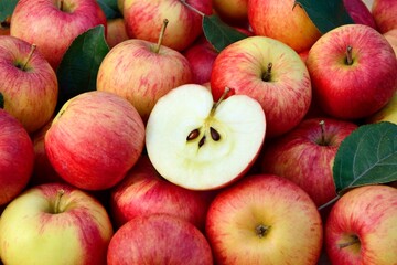 Naklejka na ściany i meble Fresh ripe red apples and a half of apple close-up. 