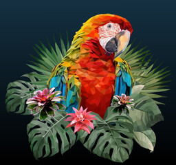 Polygonal Illustration Macaw bird.