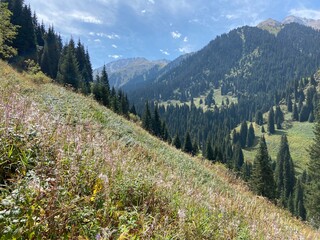 landscape in the mountains