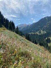 autumn in the mountains
