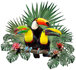 Polygonal Illustration Toucan bird.
