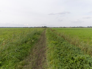 An agricultural field near Weesp, The Netherlands