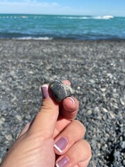 hand with shells