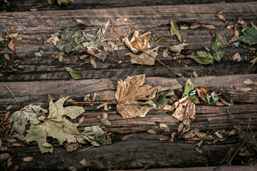 particolare di scala in legno con foglie cadute in autunno