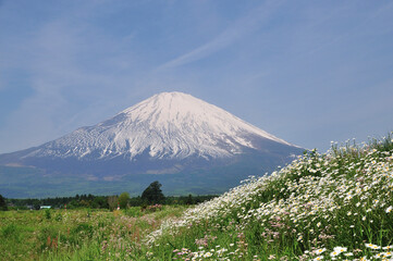 Obraz premium 富士山
