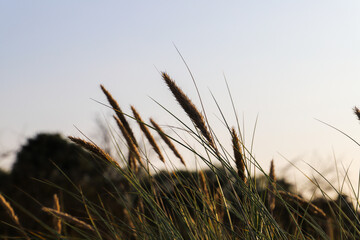 Travemünde an der Ostsee