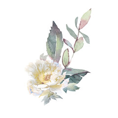 Watercolor clip art with bouquets of peonies and herbs.