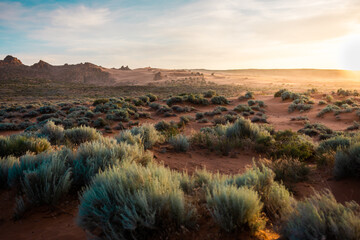 Desert landscape sunset
