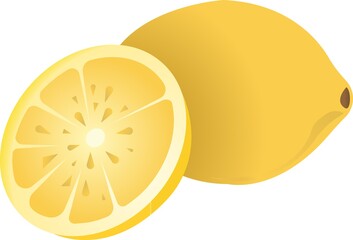 Yellow lemon. Color image of food. Vector illustration isolated on white background.