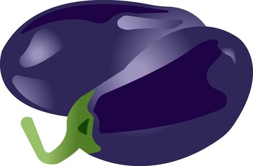 Purple eggplants. Color image of food. Vector illustration isolated on white background.