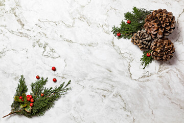 Christmas image/background.Pinophyta, brown pinecone with tree leaves and red fruits on white marble.