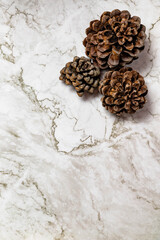 Christmas image/background.Pinophyta, brown pinecone with tree leaves, gift and red fruits on white marble.