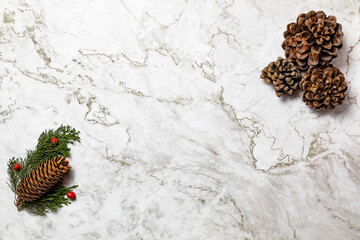 Christmas image/background.Pinophyta, brown pinecone with tree leaves and red fruits on white marble.