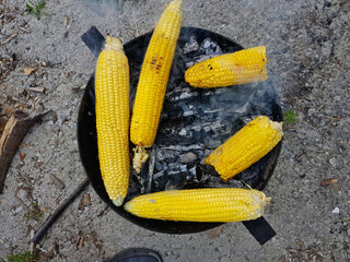 roasted corns on a grill