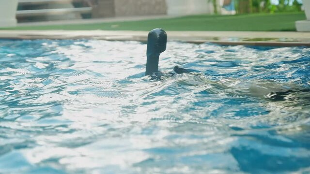 people training diving snorkeling under water in swimming pool