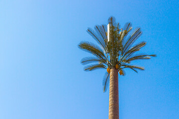 Base radio station or telecommunication tower disguised as a palm tree at Morocco. Equipment for of...