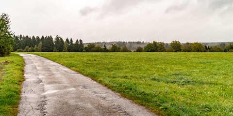Landschaft WIese