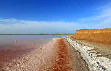 dead salt lake shore