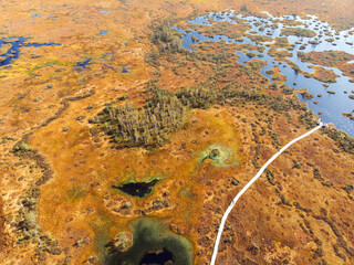 The swamps of Belarus are the lungs of Europe. Space planet. The ecological situation in the world. Global environmental problems. Natural background. View from the copter.