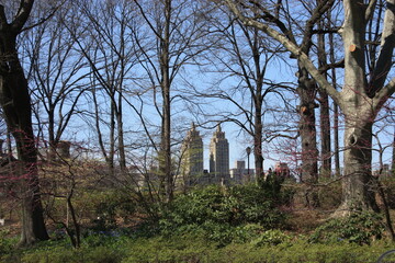 Fototapeta na wymiar city skyline new york city