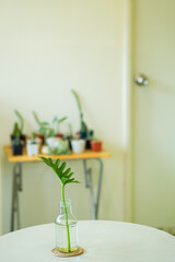 Leaf stalk in vase on the white table at cafe.