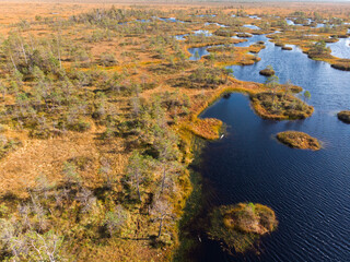 The swamps of Belarus are the lungs of Europe. Space planet. The ecological situation in the world. Global environmental problems. Natural background. View from the copter.