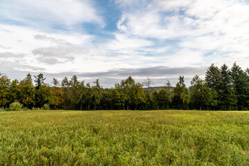 Fototapeta premium wolkige Landschat am Waldrand