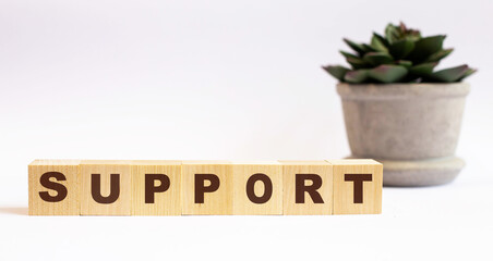 The word SUPPORT on wooden cubes on a light background near a flower in a pot. Defocus