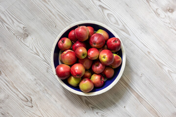 frisch geerntete Äpfel in einer Schüssel
