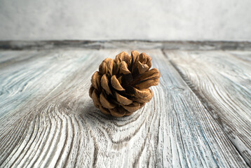 One pine cone lies sideways on a natural wooden background. Side view, close-up. The concept of New Year and Christmas.