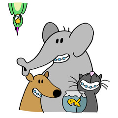 Funny cute smiling animals wearing orthodontics. Dentist, Odontology. Illustration for children. Parrot, elephant, dog, cat and fish. Hand drawn style colorful vector illustration. 