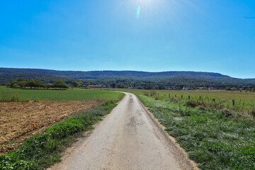 Fototapeta na wymiar View of a french rural country road at summer on a sunny and warm day.