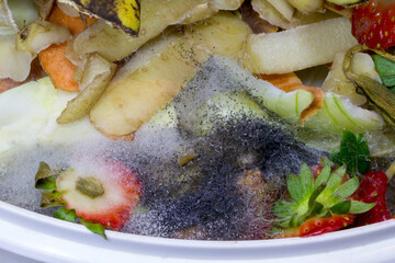 Mould on vegetable peelings